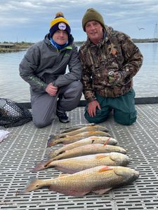 3 redfish caught in TX