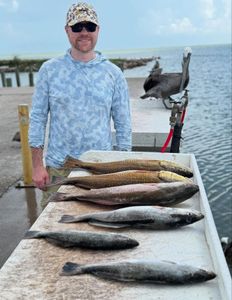 A person catches 4 Redfish in League City