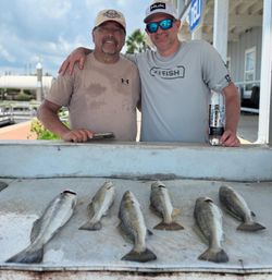 6 spotted weakfish caught while fishing in TX