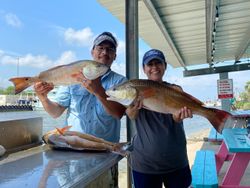 Catching redfish with Captain Mike