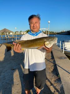 One angler fishing in League City
