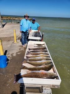 Two anglers with a big 61-inch catch in League City