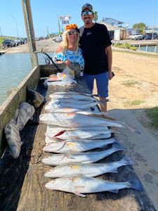 5 fish caught in TX