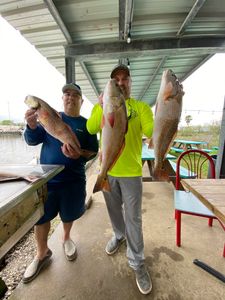 3 big fish caught by 3 anglers in League City