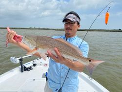 Redfish, 27 inches, caught in TX