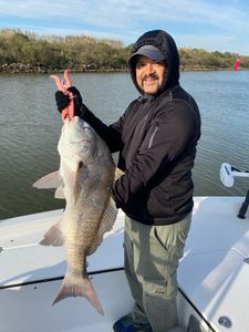 Fishing for a Black Drum in League City