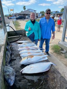 3 large fish caught in TX