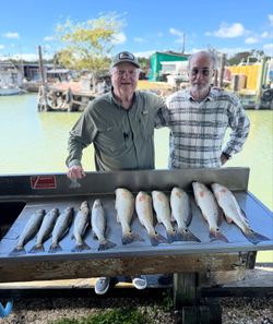 10 spotted weakfish and redfish caught while fishing in TX