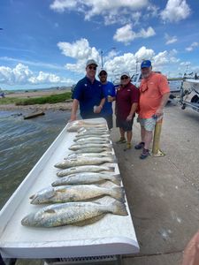 4 spotted weakfish, fishing in TX