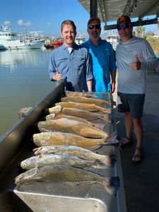 3 big fish caught during fishing in League City