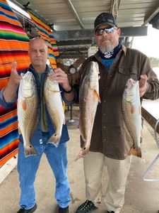 4 large fish caught during fishing trip in League City