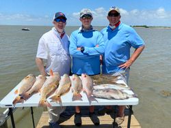 5 fish caught fishing in league city