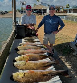 Three fish caught while fishing in TX