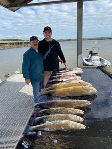 Four spotted weakfish and longnose gar caught while fishing in League City