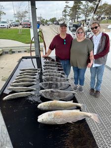 Two redfish and black drum fish, 40 inches in size, caught while fishing in League City