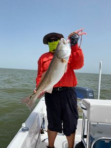 Fishing in the scenic city of League City