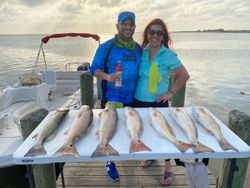 Five redfish and spotted weakfish, 14 inches long, caught fishing in TX