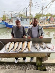 Four big fish caught by two anglers in League City