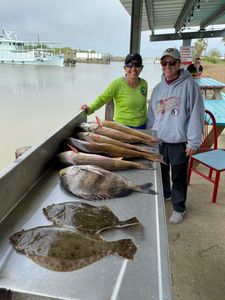Four sheepshead fish caught in League City, Texas
