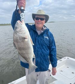 Galveston fishing seasons