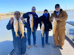 5 fishing in league city