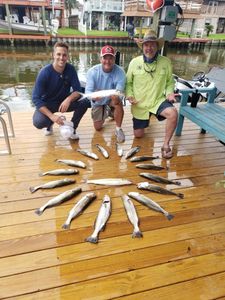 A group of 5 unspecified fish caught in League City