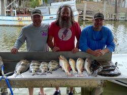 6 fish caught in League City, Texas while fishing