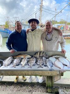 4 fish caught while fishing in TX