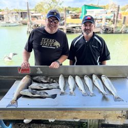 9 redfish and spotted weakfish caught by 2 people in league city