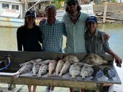 7 sheepshead and black drum fish caught by 4 people in League City