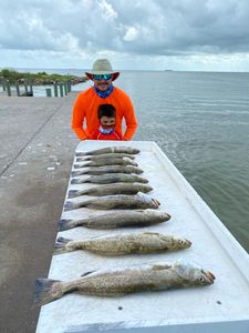 4 great fish caught in TX