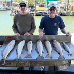 7 redfish caught by 2 people in League City