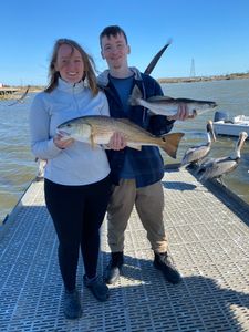 Two Redfish, each around 20 inches long, caught while fishing in TX