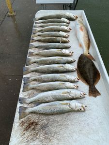 10 spotted weakfish and southern flounder in league city