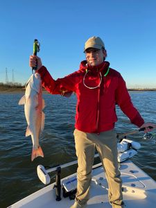 Lone angler enjoying a great day of fishing in League City