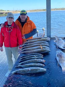 Spotted weakfish, 5 of them caught on a fishing trip in TX