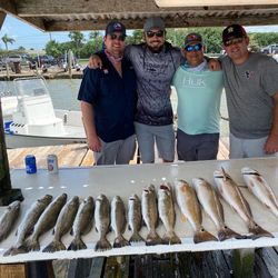 Nine spotted weakfish caught by four people fishing in League City