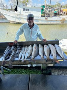Redfish and black drum catch in League City
