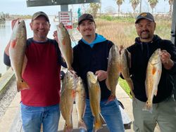 7 redfish caught in League City