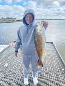 A Redfish caught in League City, Texas