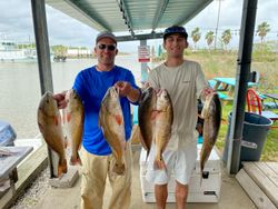 Redfish caught by 2 anglers in League City