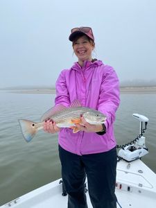 Redfish caught in League City