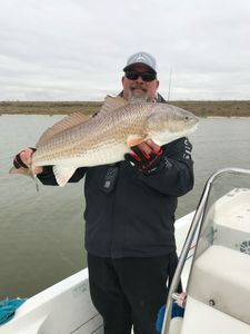 Redfish caught by angler in League City