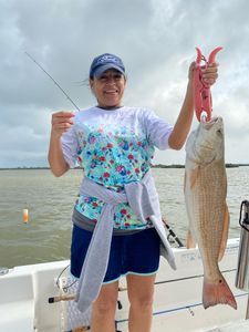 Redfish caught in League City