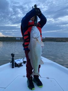 Redfish caught in TX