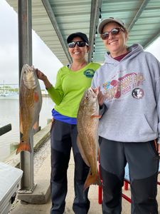 Two redfish caught in TX while fishing