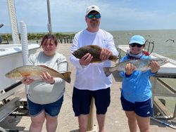 3 redfish caught in league city