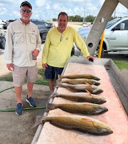 4 redfish caught while fishing in TX