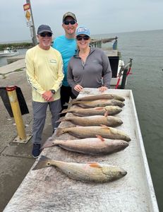 Three redfish caught in TX