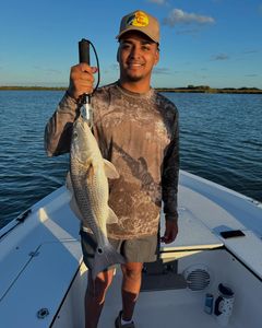 Redfish caught by angler in League City